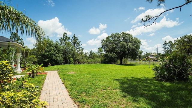 19951 Quinlan St, Orlando, FL 32833 - view of green lawn