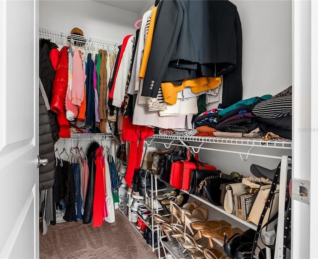 11054 Hanlon Terrace Aly, Winter Garden, FL 34787 - spacious closet with carpet