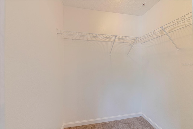5500 Metrowest Blvd Unit 203, Orlando, FL 32811 - walk in closet featuring light colored carpet