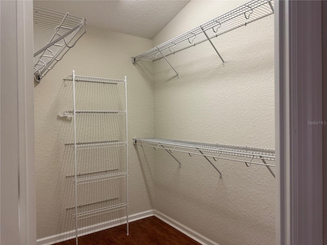 541 Arena Dr, Davenport, FL 33837 - spacious closet featuring dark wood-style floors