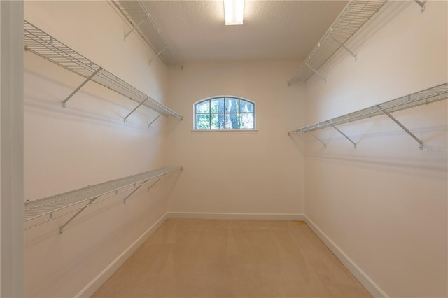 1586 Antoinette Ct, Oviedo, FL 32765 - spacious closet featuring light carpet