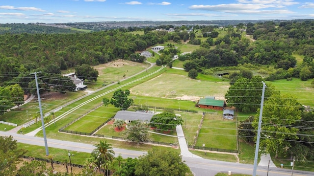 12434 Sullivan Rd, Clermont, FL 34715 - bird's eye view of a forest