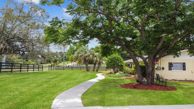 12434 Sullivan Rd, Clermont, FL 34715 - view of yard
