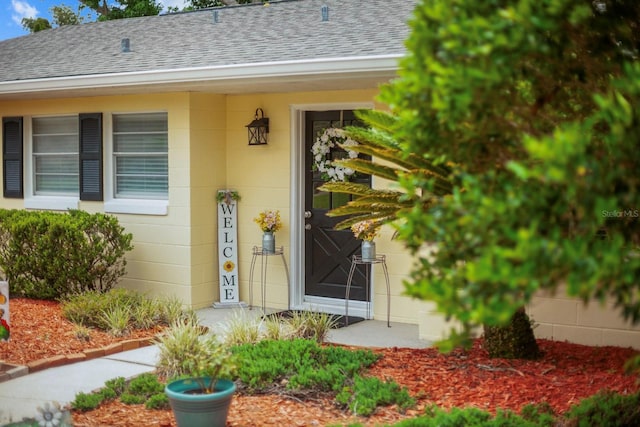 12434 Sullivan Rd, Clermont, FL 34715 - view of exterior entry with roof with shingles and concrete block siding