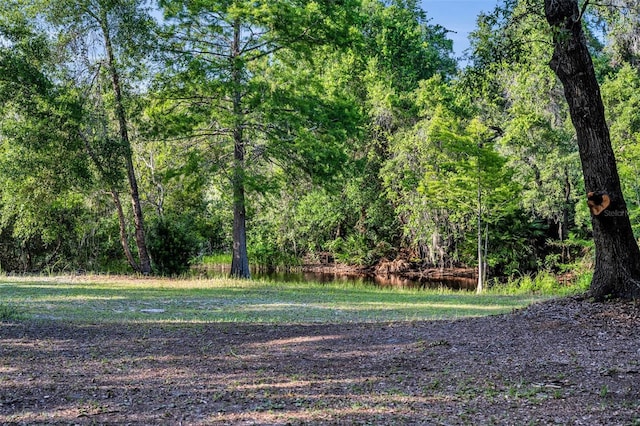 3915 S Spaniel Trl, Inverness, FL 34450 - photo 33