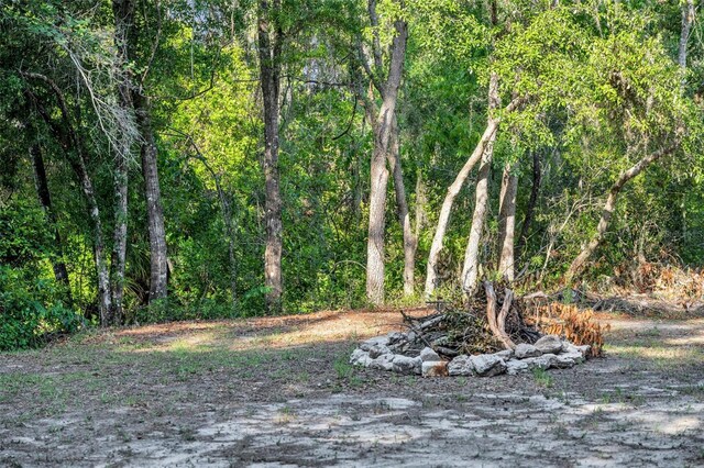 3915 S Spaniel Trl, Inverness, FL 34450 - photo 34