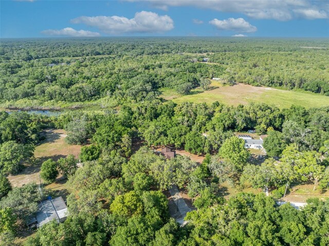 3915 S Spaniel Trl, Inverness, FL 34450 - photo 45