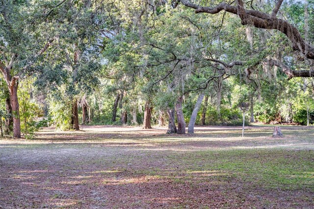 3915 S Spaniel Trl, Inverness, FL 34450 - photo 60