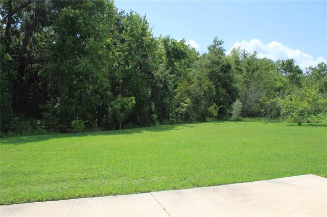 2543 Chapala Dr, Kissimmee, FL 34746 - photo 69