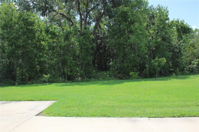 2543 Chapala Dr, Kissimmee, FL 34746 - photo 70