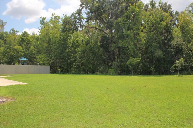 2543 Chapala Dr, Kissimmee, FL 34746 - photo 72