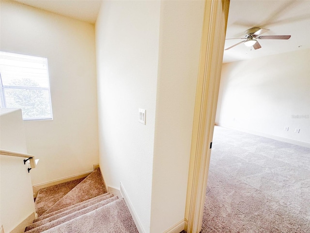 2404 Bella Vista Dr, Davenport, FL 33897 - photo 12