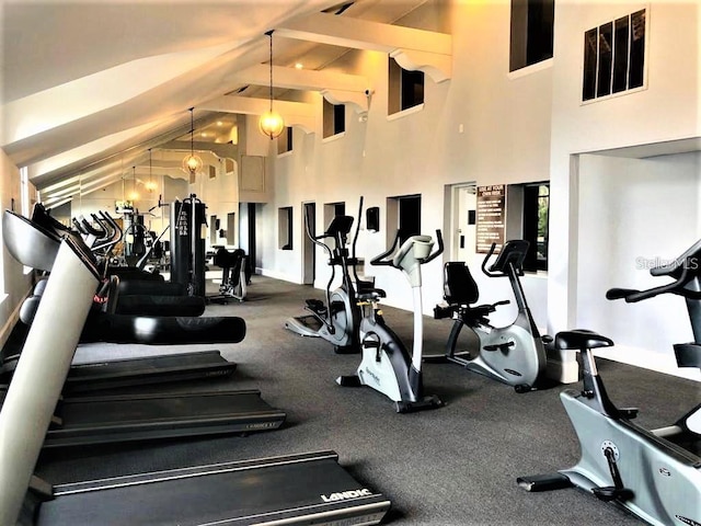 5116 Conroy Rd Unit 411, Orlando, FL 32811 - workout area with high vaulted ceiling