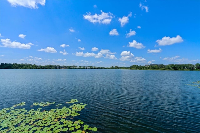 1400 Lake Shadow Cir Unit 10104, Maitland, FL 32751 - water view