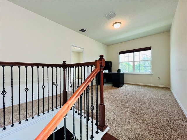 4900 Beach Blvd, Orlando, FL 32803 - photo 9