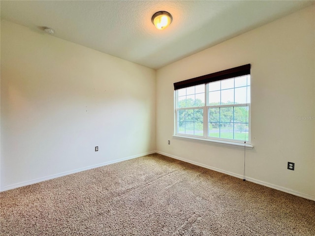 4900 Beach Blvd, Orlando, FL 32803 - photo 10