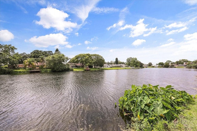 930 Chickadee Dr, Port Orange, FL 32127 - water view