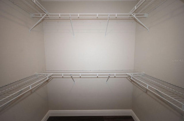 5118 Log Wagon Rd, Ocoee, FL 34761 - view of walk in closet