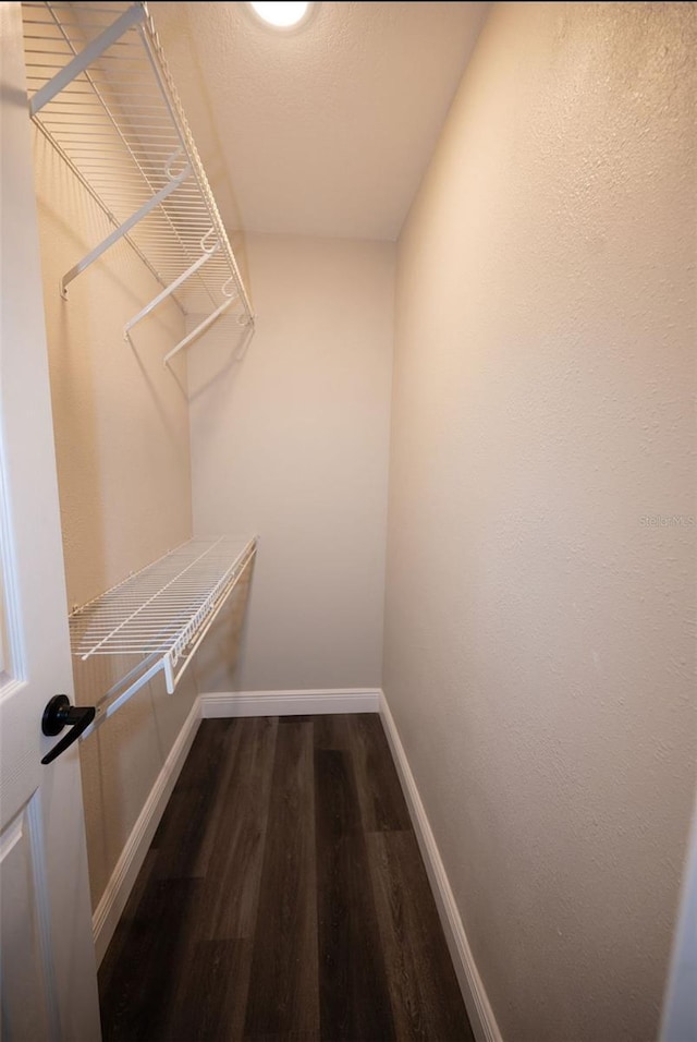 5118 Log Wagon Rd, Ocoee, FL 34761 - walk in closet featuring dark wood-style floors