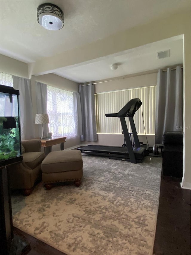 10711 Lake Hill Dr, Clermont, FL 34711 - exercise area featuring healthy amount of natural light