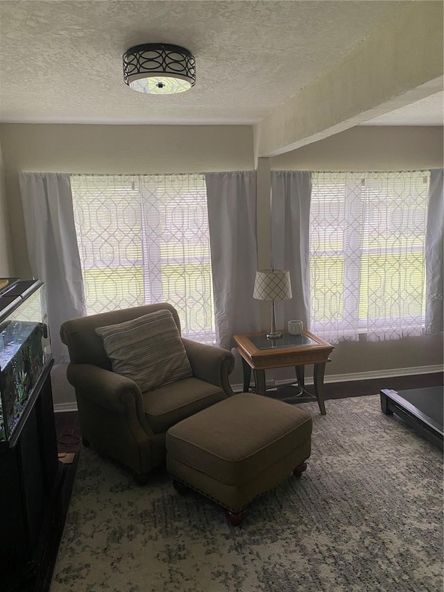 10711 Lake Hill Dr, Clermont, FL 34711 - living area with a textured ceiling