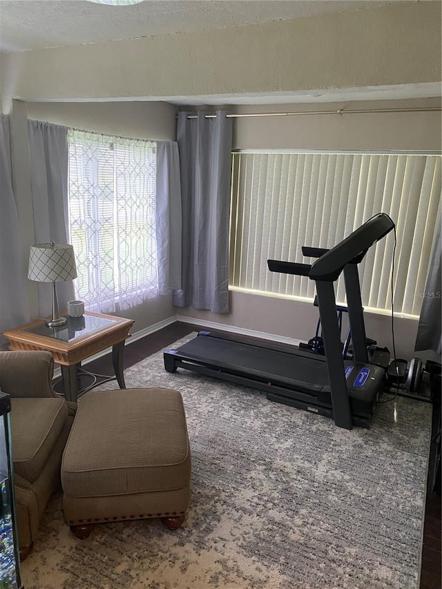 10711 Lake Hill Dr, Clermont, FL 34711 - view of exercise area