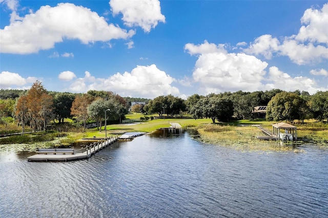 10711 Lake Hill Dr, Clermont, FL 34711 - water view featuring a floating dock