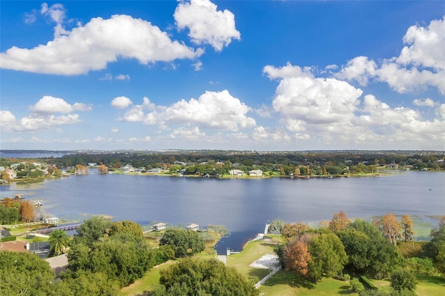 10711 Lake Hill Dr, Clermont, FL 34711 - water view