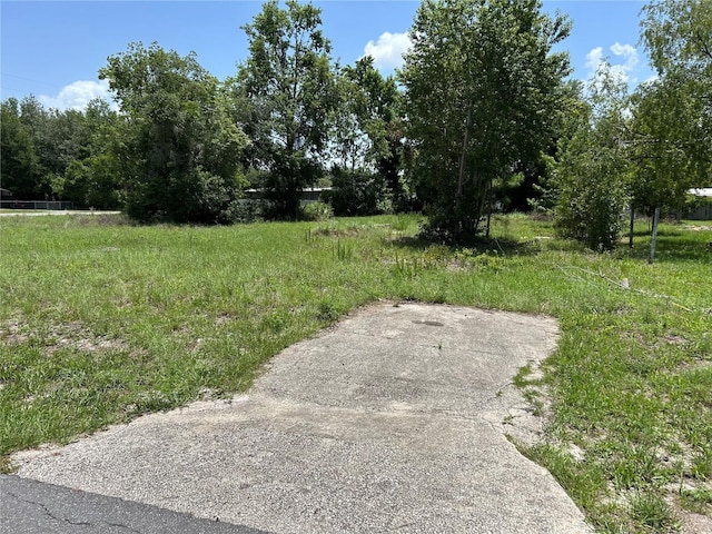 42100 Ash Ave, Deland, FL 32720 - photo 2