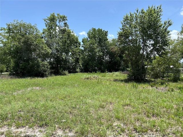 42100 Ash Ave, Deland, FL 32720 - photo 3