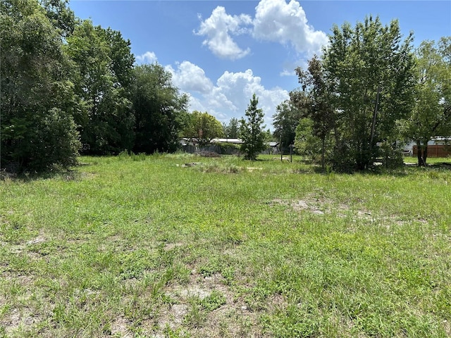 42100 Ash Ave, Deland, FL 32720 - photo 4