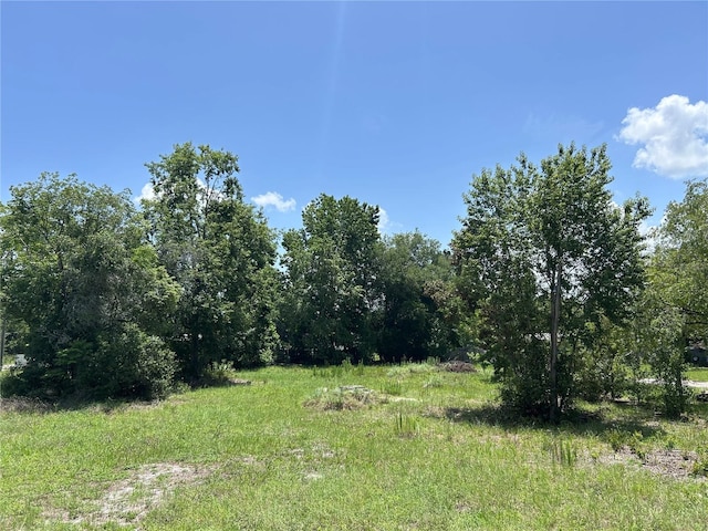 42100 Ash Ave, Deland, FL 32720 - photo 8