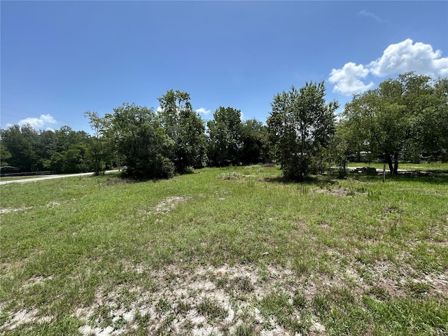42100 Ash Ave, Deland, FL 32720 - photo 9