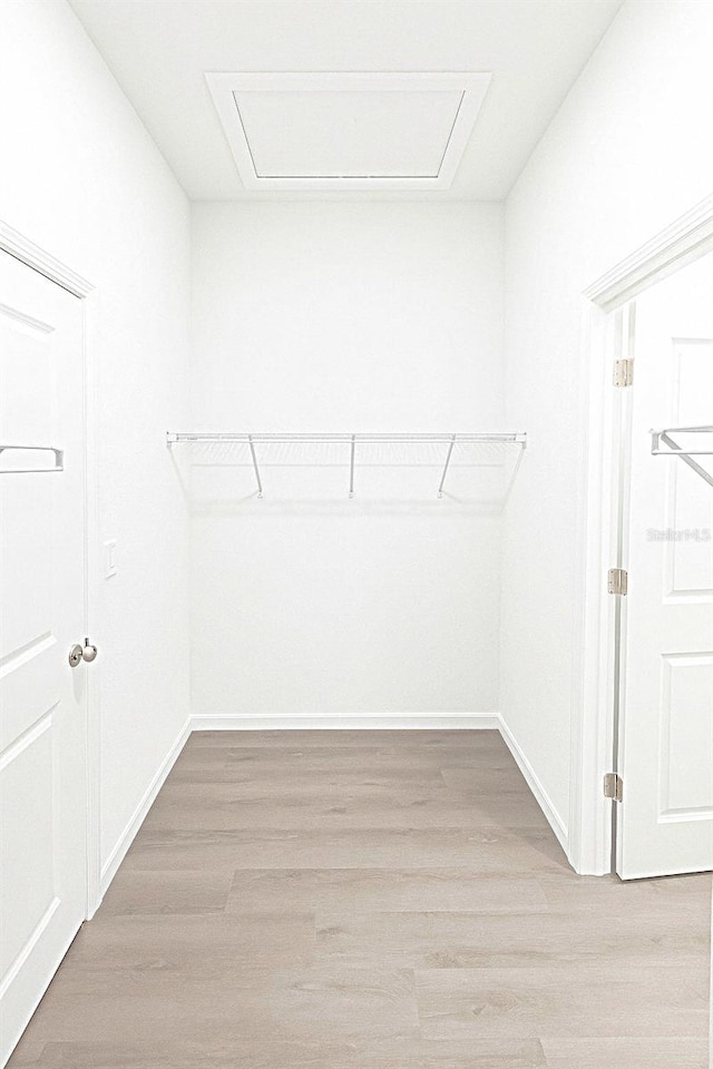 313 Bass Ct, Kissimmee, FL 34759 - spacious closet featuring light wood-style flooring
