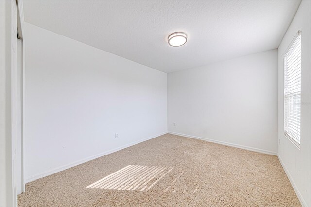 8549 Lamppost Ln, Orlando, FL 32832 - photo 27