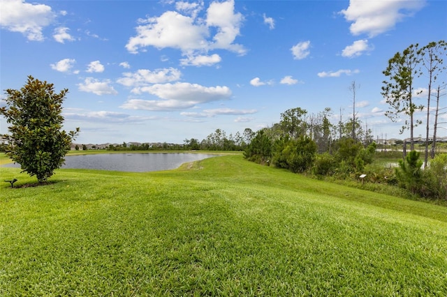 9844 Beach Port Dr, Winter Garden, FL 34787 - view of green lawn with a water view