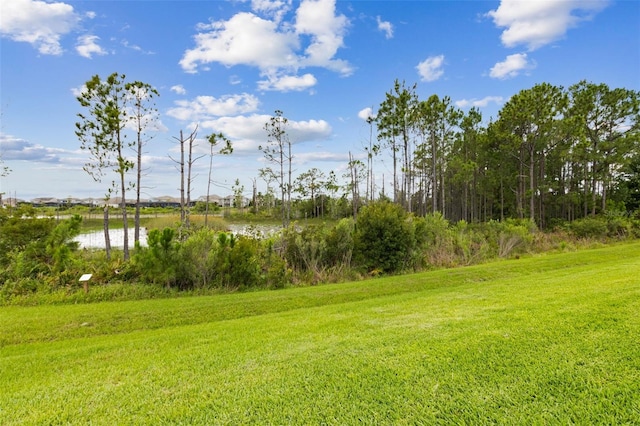 9844 Beach Port Dr, Winter Garden, FL 34787 - view of green lawn with a water view