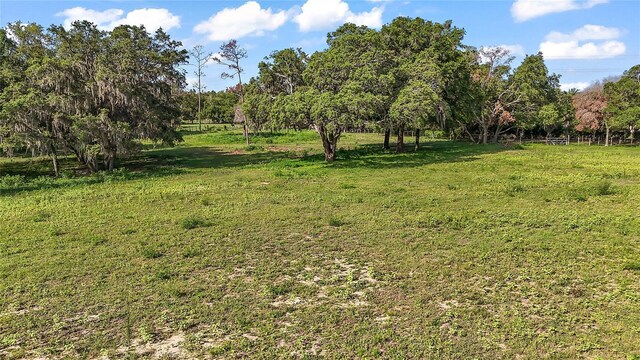 17952 Lookout Hill Rd, Winter Garden, FL 34787 - photo 14