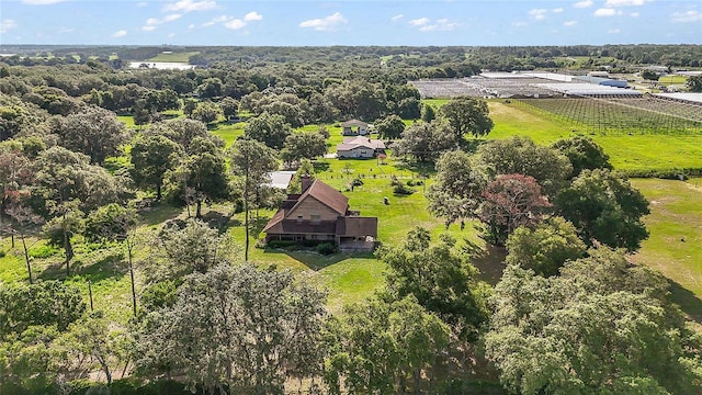 17952 Lookout Hill Rd, Winter Garden, FL 34787 - photo 4