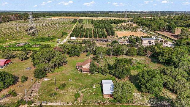 17952 Lookout Hill Rd, Winter Garden, FL 34787 - photo 5