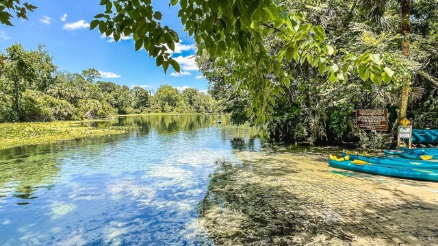 2583 Long Pine Ave, Apopka, FL 32712 - water view with a forest