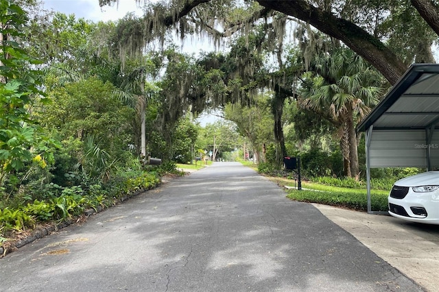 1335 E 3rd Ave, Mount Dora, FL 32757 - photo 34