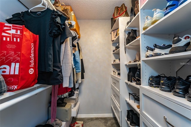 5287 Cypress Ct Unit 724, Orlando, FL 32811 - walk in closet with carpet flooring