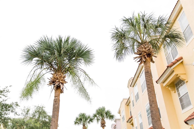 8024 Cool Breeze Dr Unit 132, Orlando, FL 32819 - view of building exterior