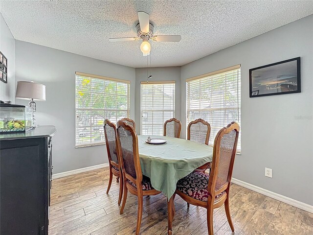 950 Bird Bay Ct Unit 206, Lake Mary, FL 32746 - photo 19