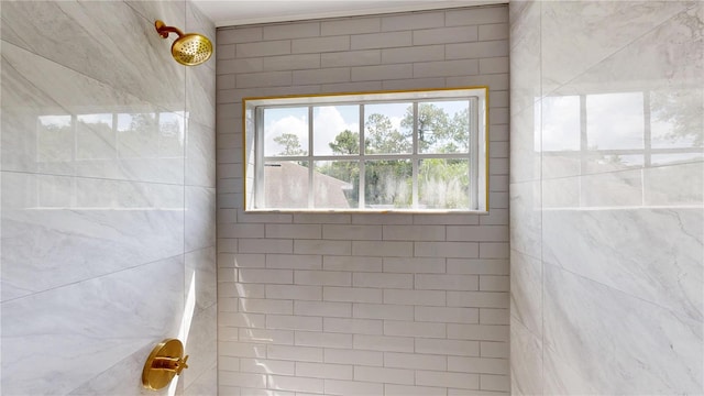 10747 Satinwood Cir, Orlando, FL 32825 - bathroom featuring tiled shower