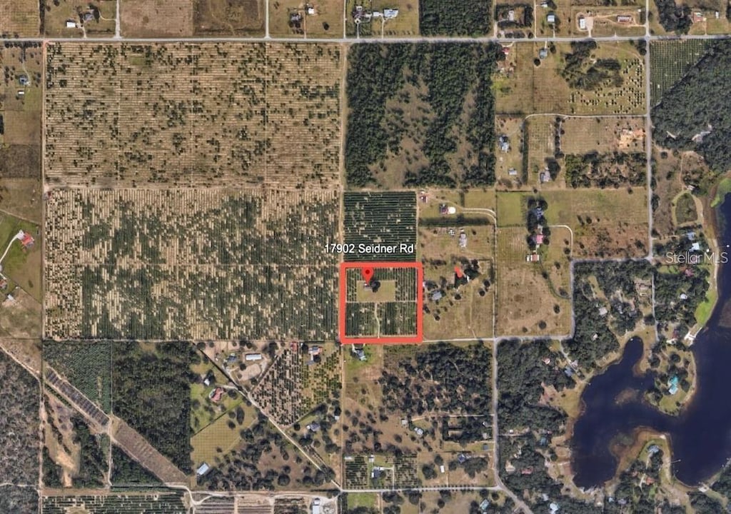 17902 Seidner Rd, Winter Garden, FL 34787 - photo 2