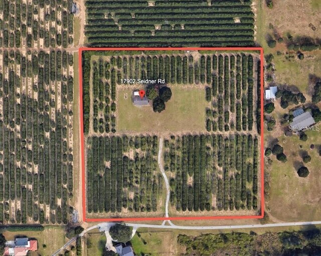 17902 Seidner Rd, Winter Garden, FL 34787 - photo 3