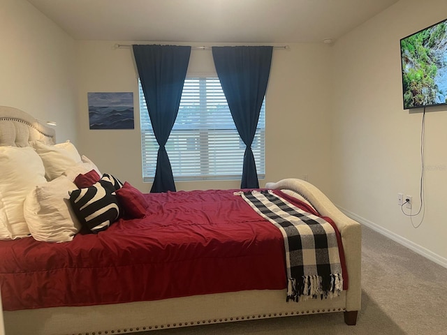 7172 SW 135th Pl, Ocala, FL 34473 - carpeted bedroom with baseboards