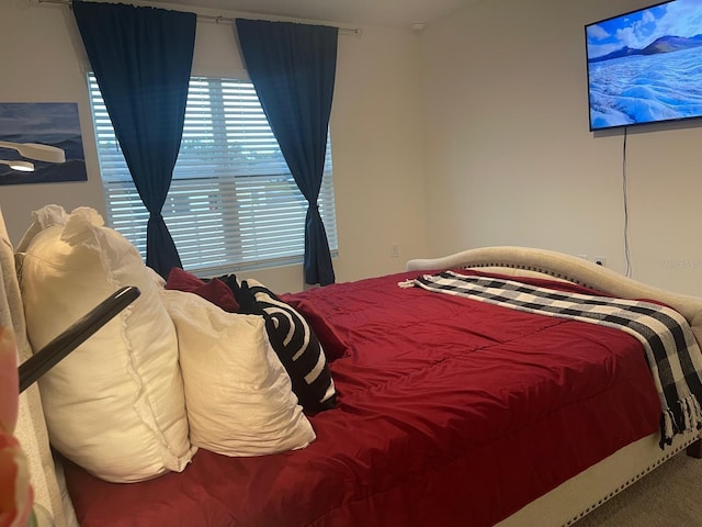 7172 SW 135th Pl, Ocala, FL 34473 - view of carpeted bedroom